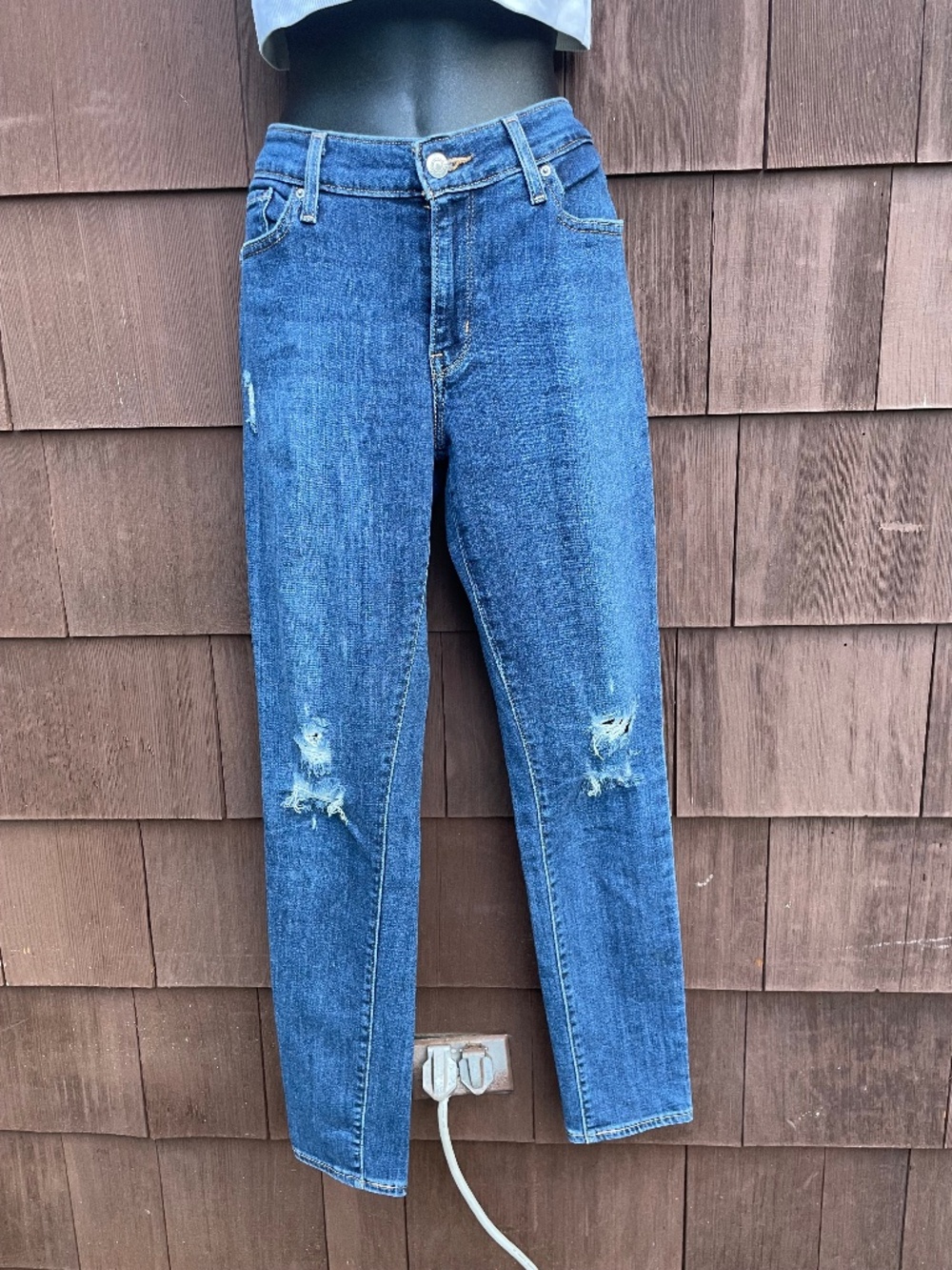 Levi Strauss & Co. blue jeans